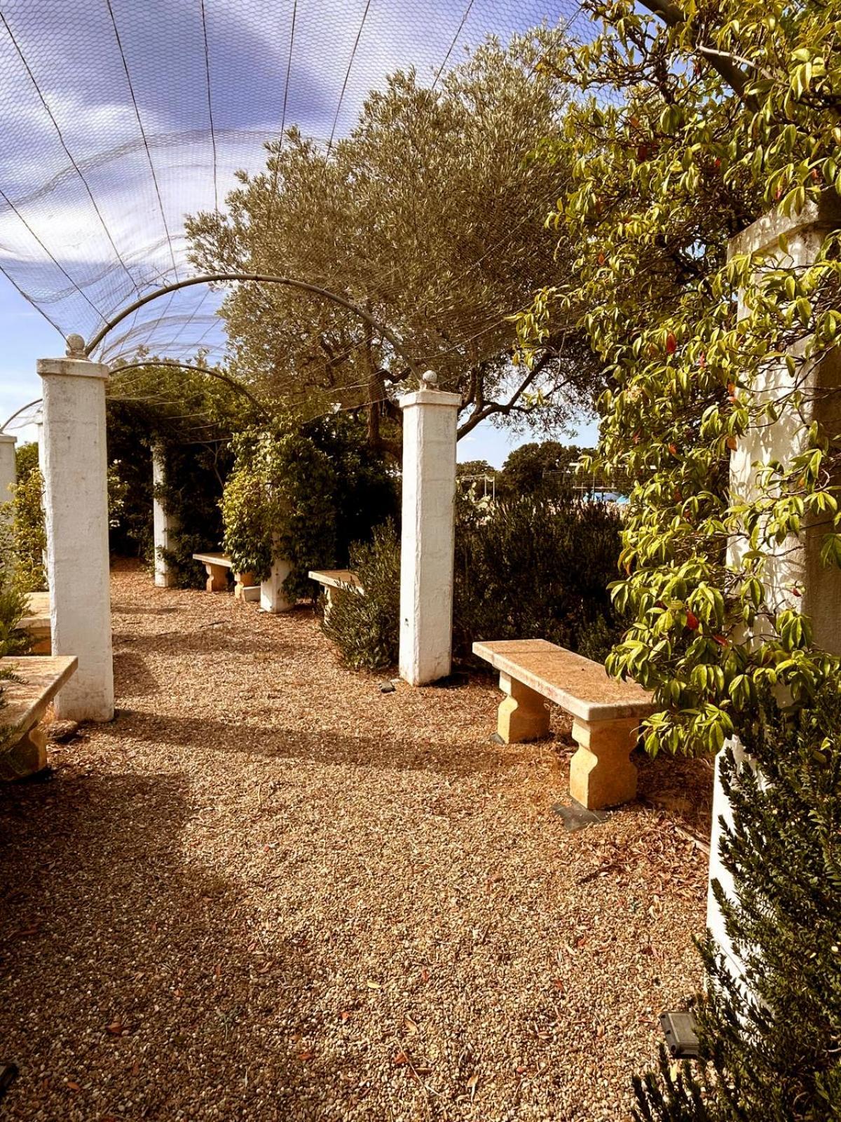 Agriturismo La Civetta Gioia Del Colle Bagian luar foto